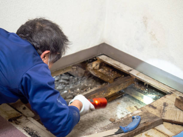 Crawl Space Mold Removal in Oyster Bay Cove, NY