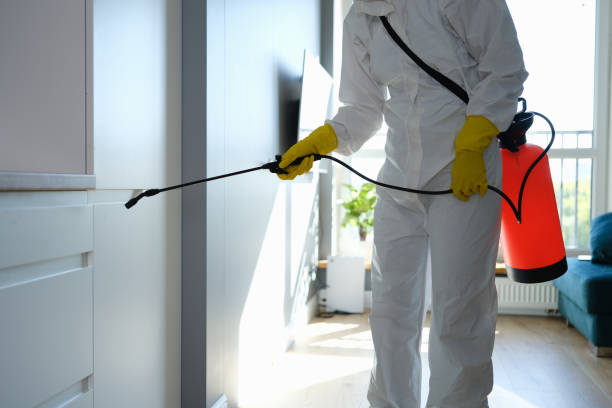 Home Mold Removal in Oyster Bay Cove, NY